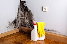 Best Real Estate Mold Inspection  in Riley, KS